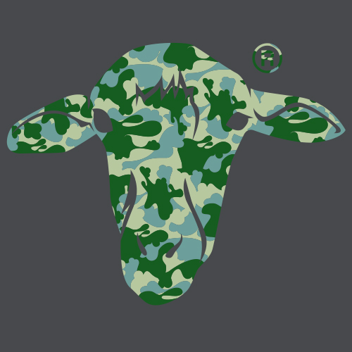 camoCLOUD-copia.jpg